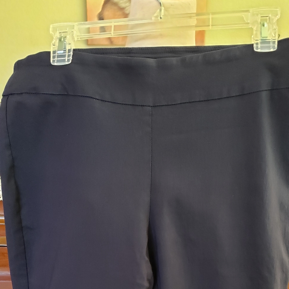 Dana Buchman Capris
